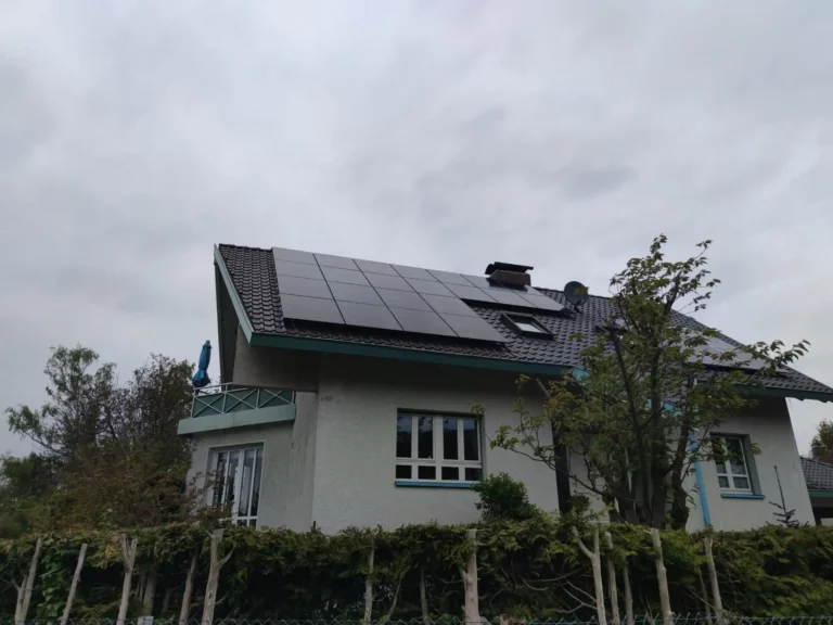 PHOTO-2024-07-31-13-11-59 3