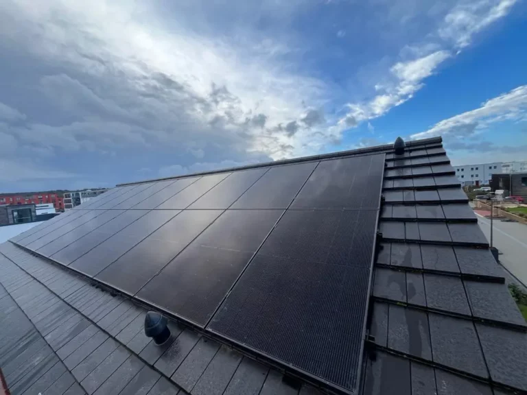 PHOTO-2024-07-31-13-12-58